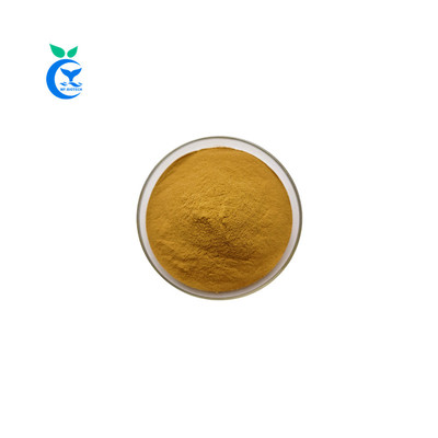 Reishi extract