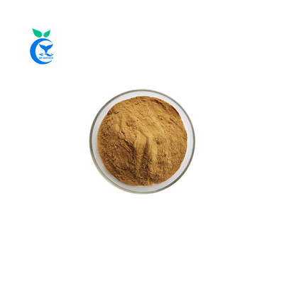 Cordyceps extract powder
