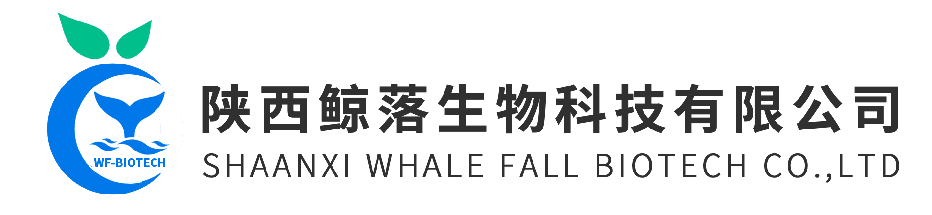 Shaanxi whale fall b